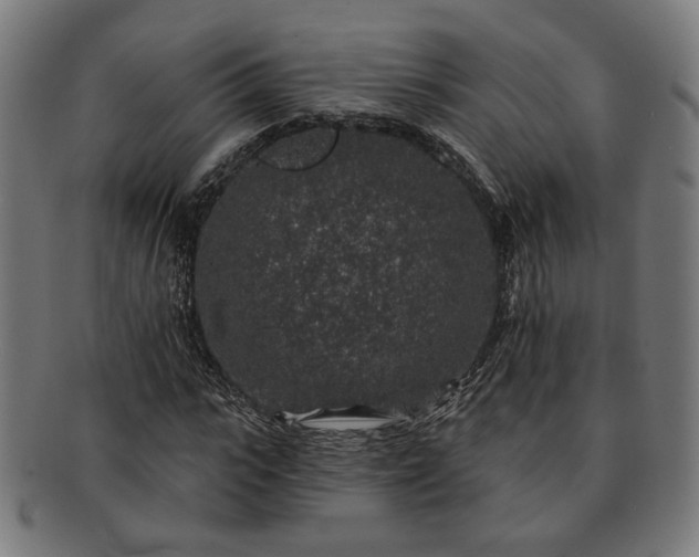 X0000091700919200708311050