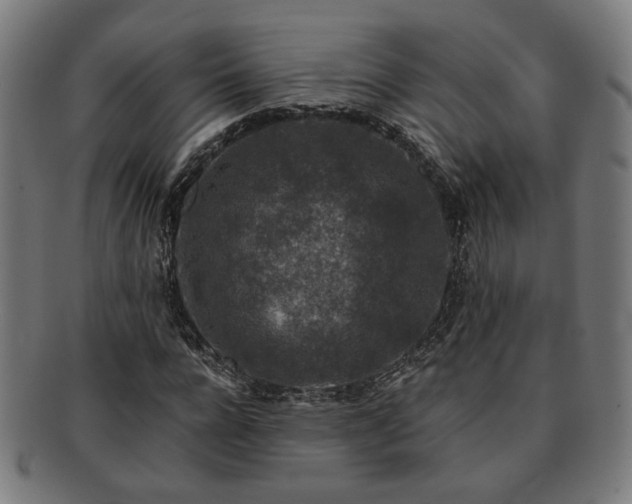 X0000091700920200708311050