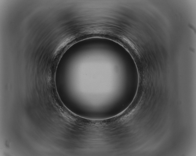 X0000091700922200708311050