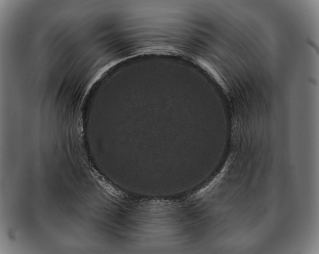 X0000091700923200708311050