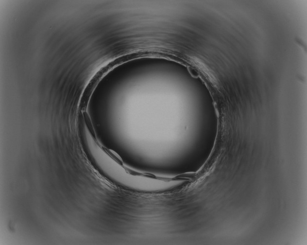 X0000091700924200708311050
