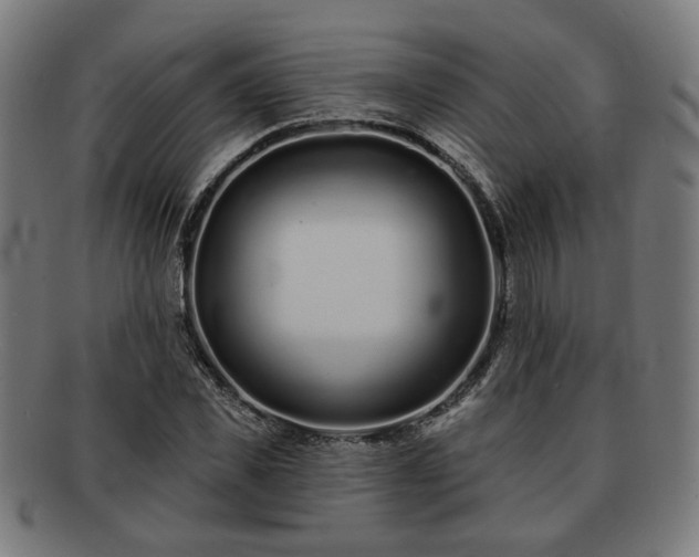 X0000091700925200708311050
