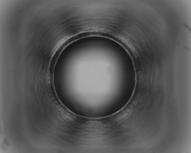 X0000091700927200708311050