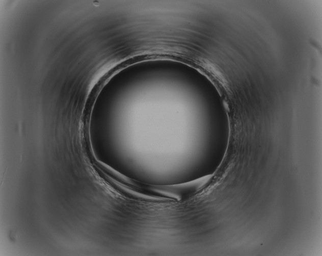 X0000091700928200708311050