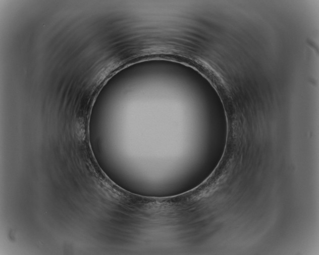 X0000091700929200708311050