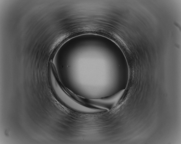 X0000091700930200708311050