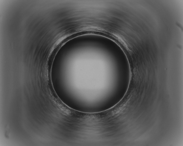 X0000091700931200708311050