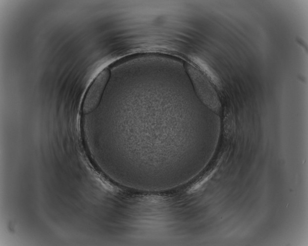 X0000091700932200708311050