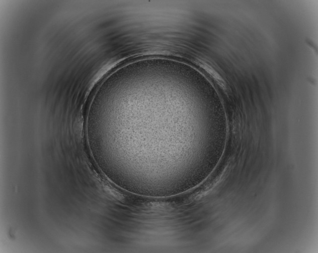 X0000091700933200708311050
