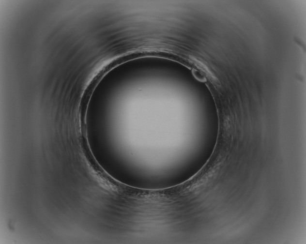 X0000091700934200708311050