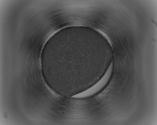 X0000091700935200708311050