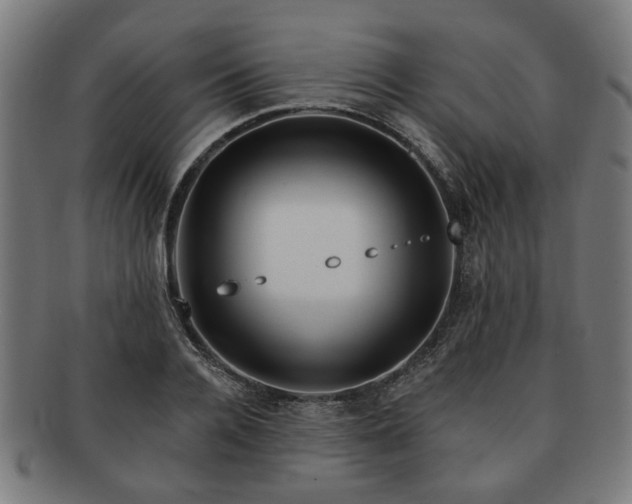 X0000091700936200708311050