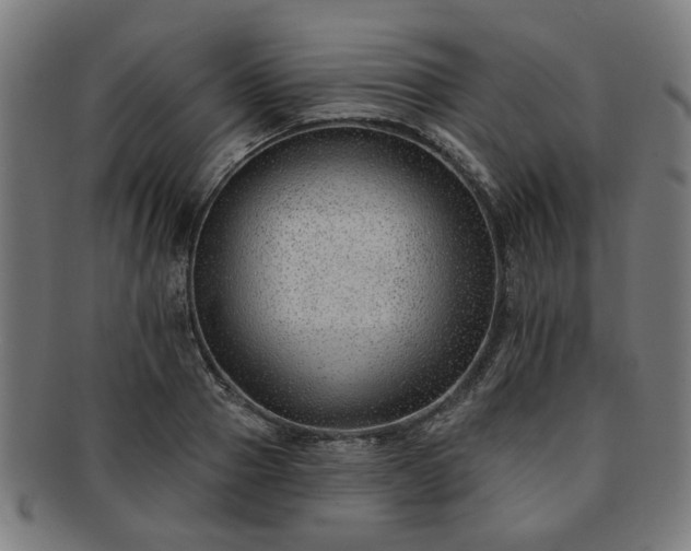 X0000091700937200708311050