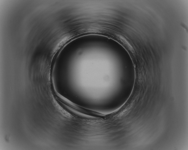 X0000091700938200708311050