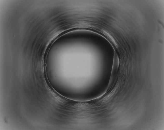X0000091700939200708311050