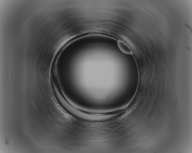 X0000091700940200708311050
