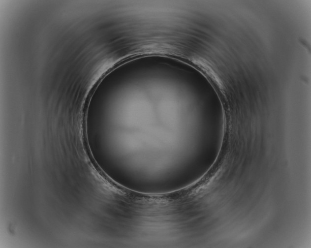 X0000091700941200708311050