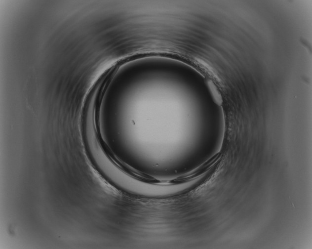X0000091700942200708311050