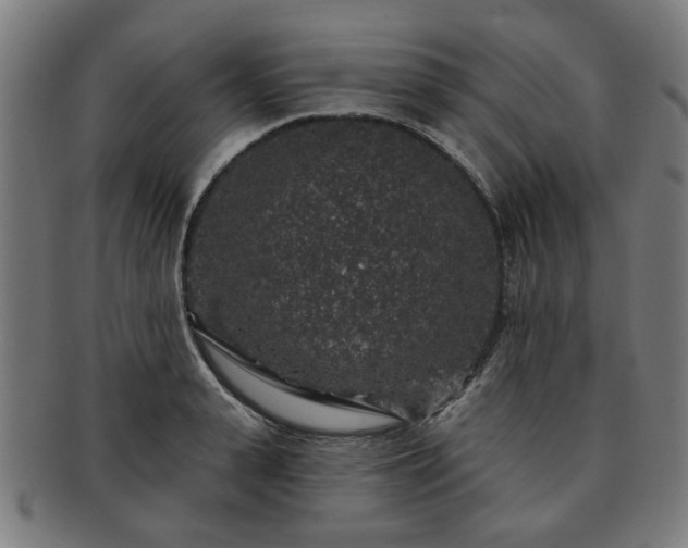 X0000091700943200708311050