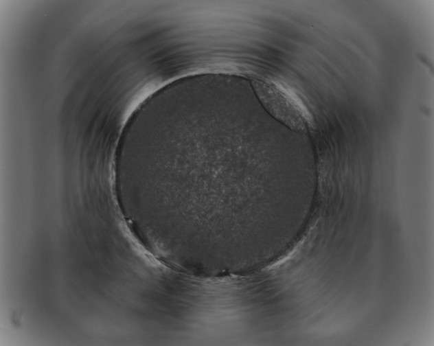 X0000091700944200708311050