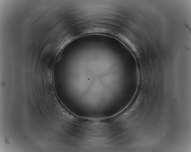 X0000091700945200708311050