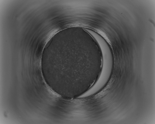 X0000091700946200708311050