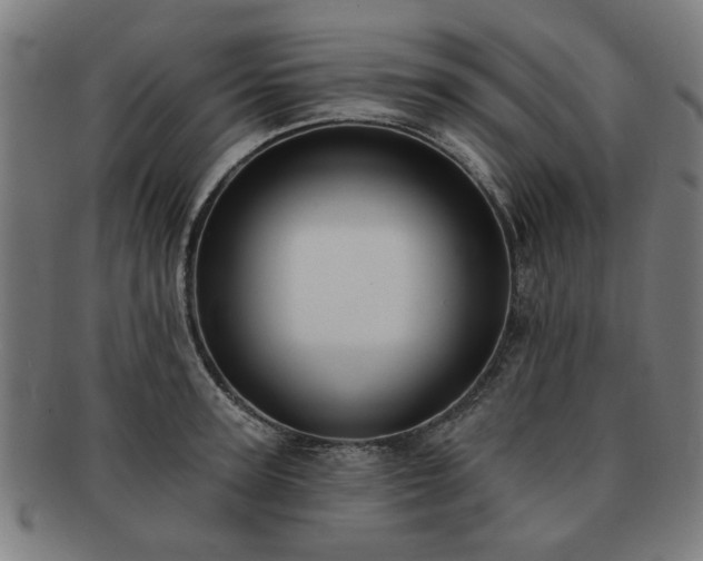 X0000091700947200708311050