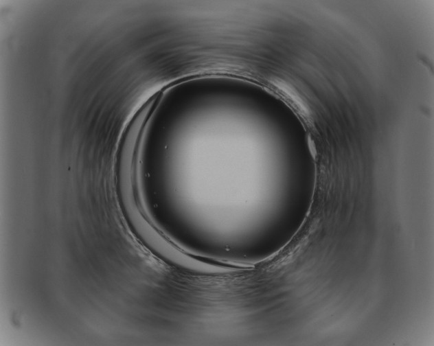 X0000091700948200708311050