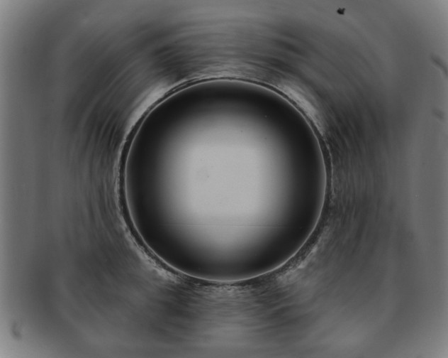X0000091700949200708311050