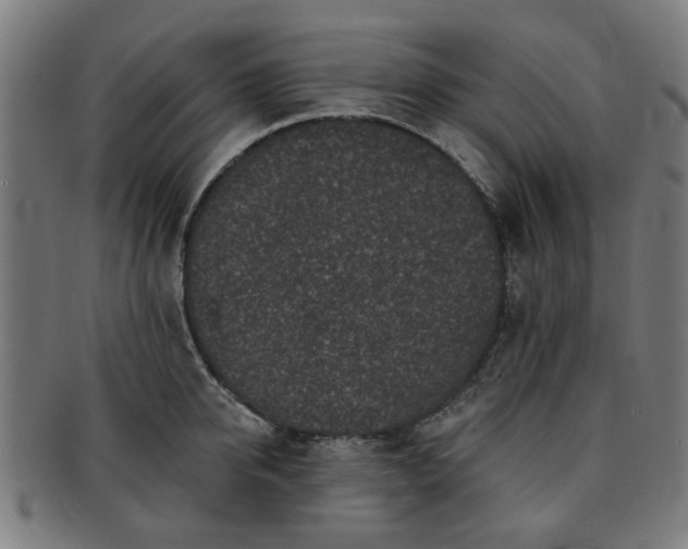X0000091700950200708311050