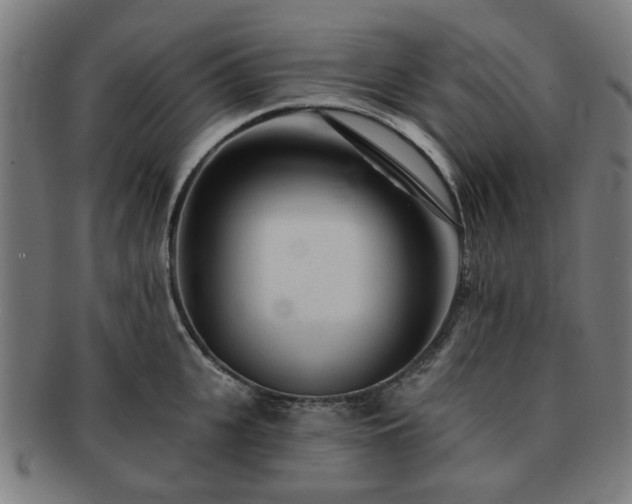 X0000091700951200708311050