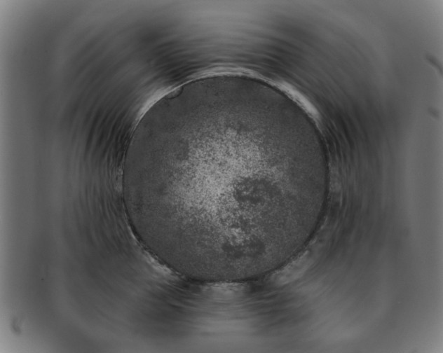 X0000091700953200708311050