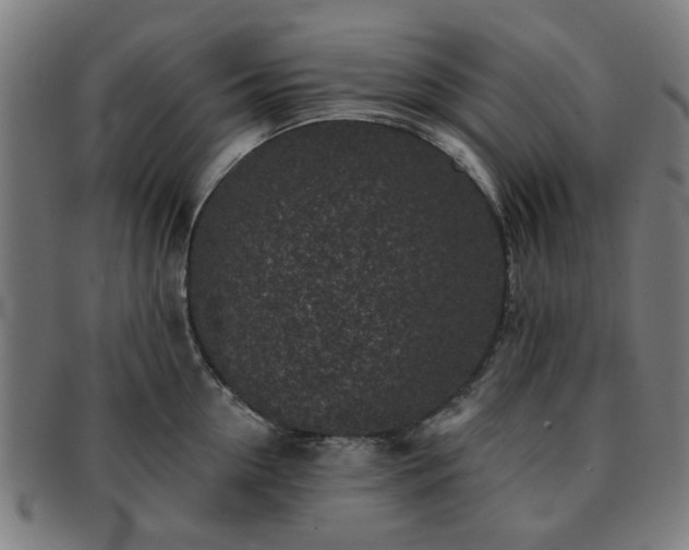 X0000091700954200708311050