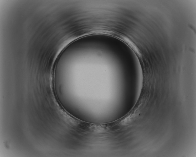 X0000091700955200708311050