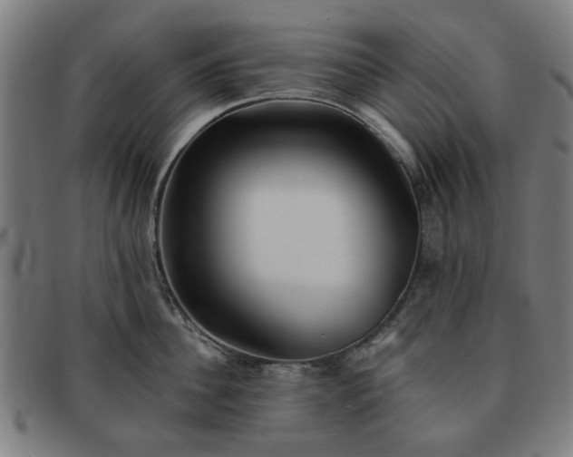 X0000091700956200708311050