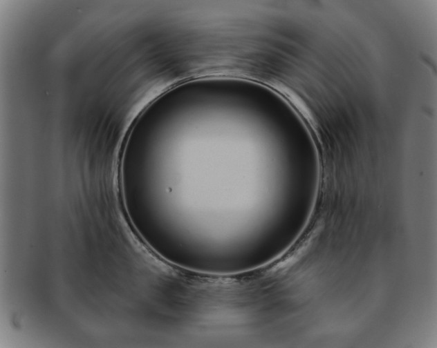 X0000091700957200708311050