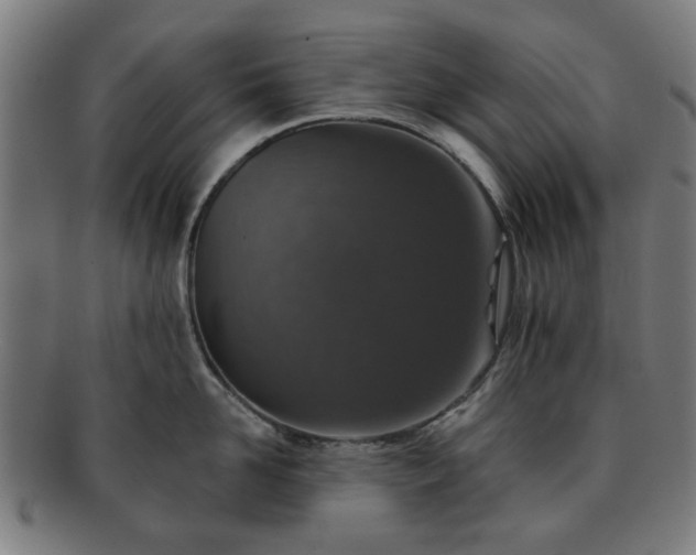 X0000091700958200708311050