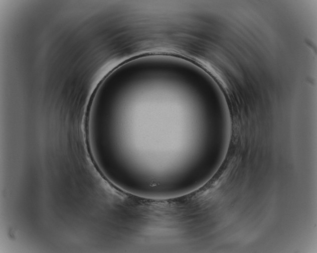 X0000091700959200708311050