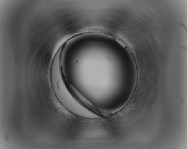 X0000091700960200708311050