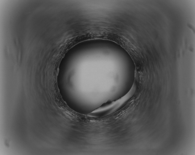 X0000091700961200708311050
