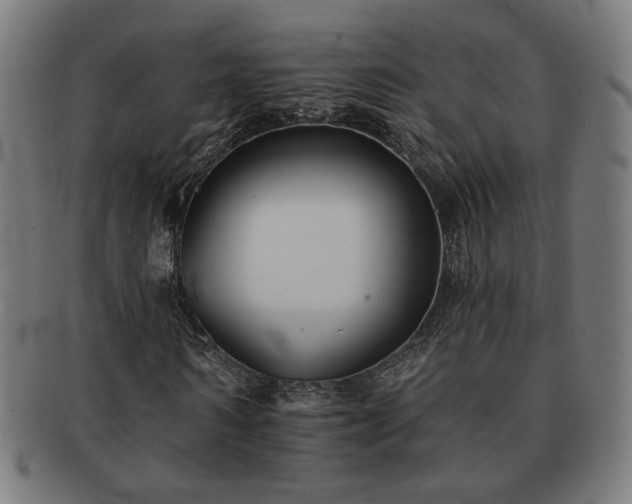 X0000091700962200708311050