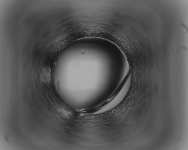 X0000091700963200708311050