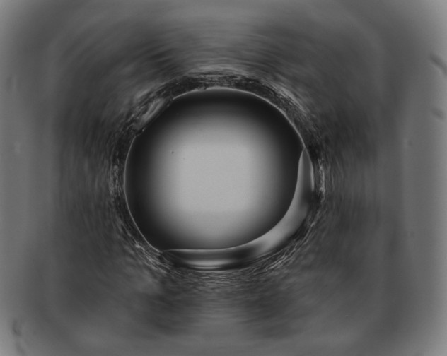 X0000091700965200708311049