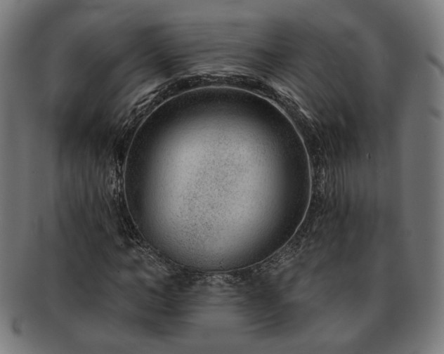 X0000091700966200708311049
