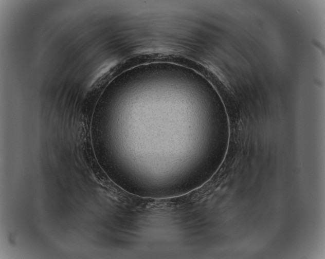 X0000091700967200708311049