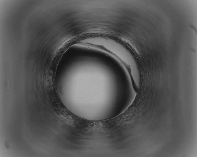 X0000091700968200708311049