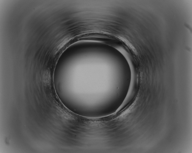 X0000091700969200708311049