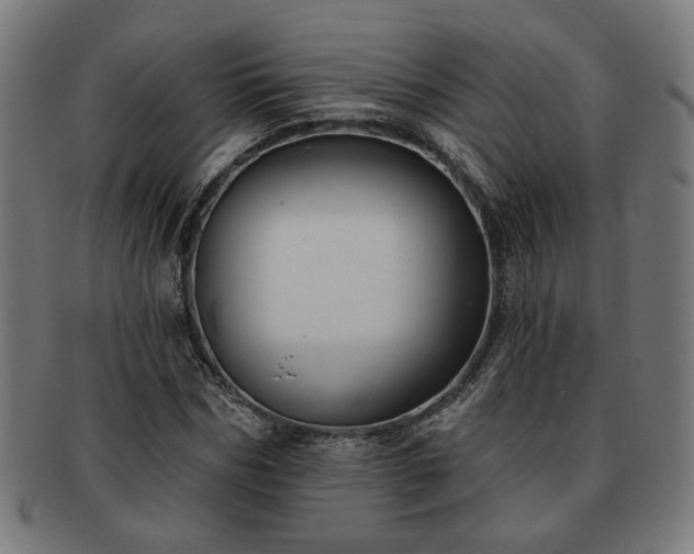 X0000091700970200708311049
