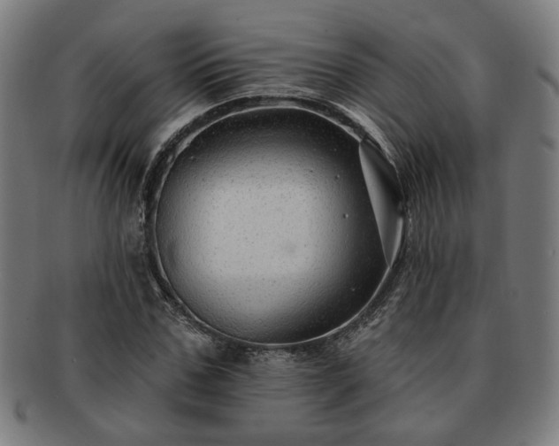 X0000091700971200708311049