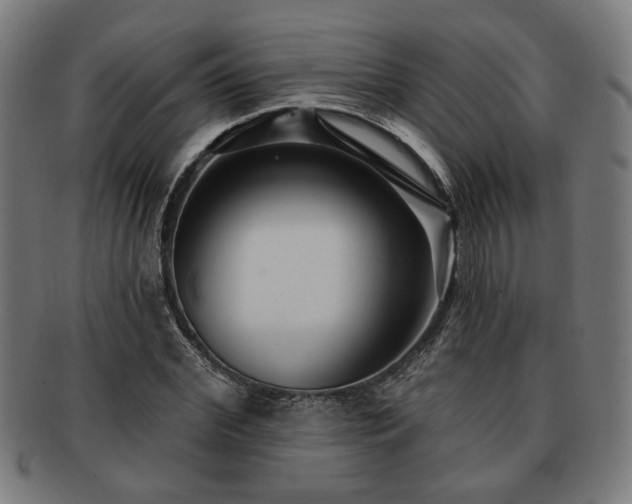 X0000091700972200708311049